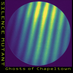 Not in Vain by Silence Mutant
