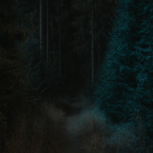 Dream by Ethereal Drifters