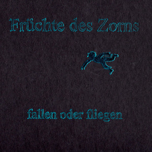 fallen oder fliegen cover
