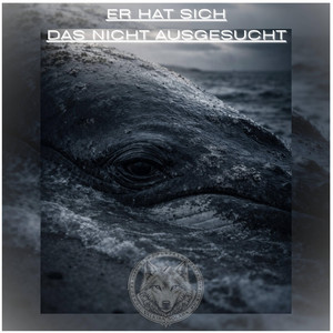 Valkyra-Solara - Er hat sich das nicht ausgesucht