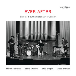Out of the White - Live by Martin Fabricius, Steve Swallow, Brad Shepik