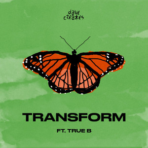 transform by davecreates, True B