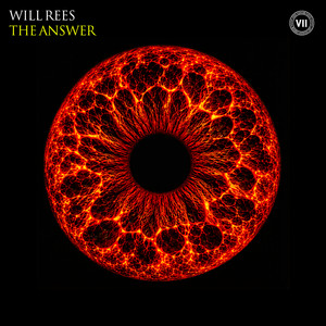 The Answer by Will Rees