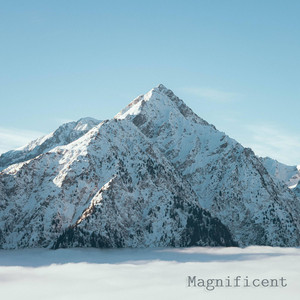 Magnificent by Rick Delavier