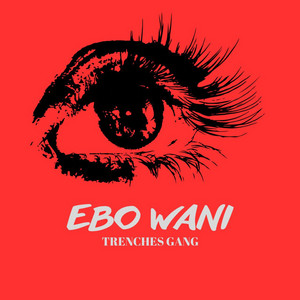 Ebo Wani (feat. Kidi Brown)