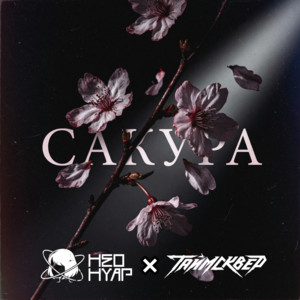 Сакура by НЕОНУАР, ТАйМСКВЕР