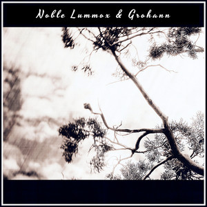The Grove - Noble Lummox Remix by Noble Lummox, Grohann