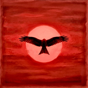 Red Kite by Enko
