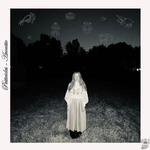 Pesticides (Acoustic) by Moselle
