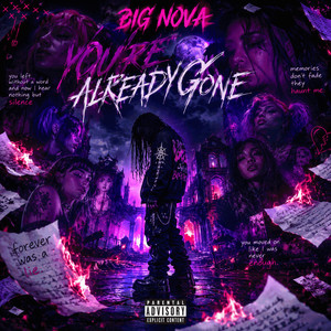 You're Already Gone by Big Nova