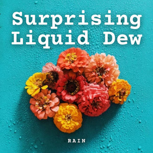 Rain: Surprising Liquid Dew album