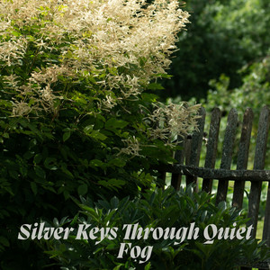 Luma Graves - Silver Keys Through Quiet Fog