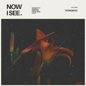 Now I See by Voyager 03