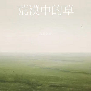 荒漠中的草 by 深井姑娘