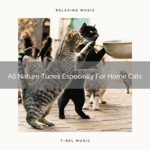 All Nature Tunes Especially For Home Cats album