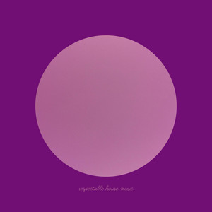 Pacific Daylight - Respectable House Music