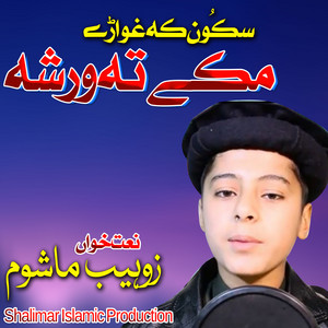 Zohaib Mashoom - Sakoon Ka Ghware