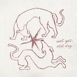 Not Afraid of Loud Things by Not Yet, Old Dog