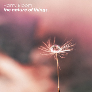 the nature of things