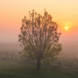 Early Light by Korluma
