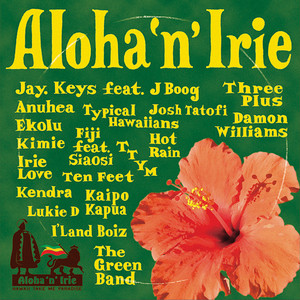 PARADISE Hawaii HAWAIIAN 邦楽 AOR TOKYO CD
