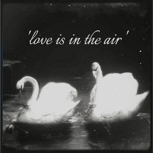 love is in the air by vampireisthatyou