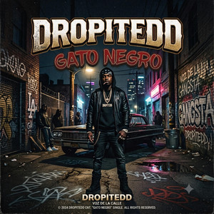 Gato negro by DROPITEDD
