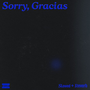 Sorry, Gracias (Slowed+Reverb) by Rvso