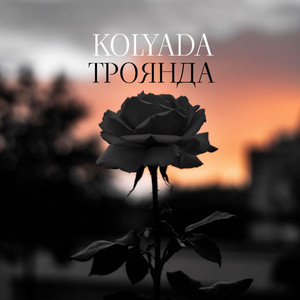 KOLYADA — Троянда
