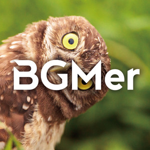 BGMer - いったりきたり