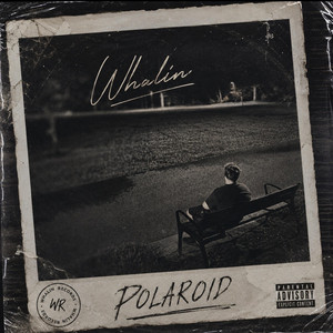 POLAROID by Whalin