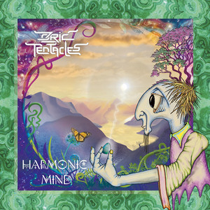 Malachite by Ozric Tentacles