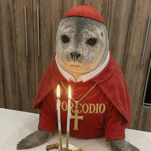 Sofficino by Porcodio Luxury, Gatti Pontifici