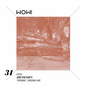 Jerk the Party - Opening Original Mix cover art