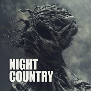 Soundridemusic - Night Country