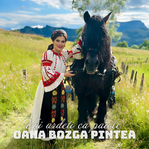 Oana Bozga Pintea - Voi Ardeți Ca Paiele