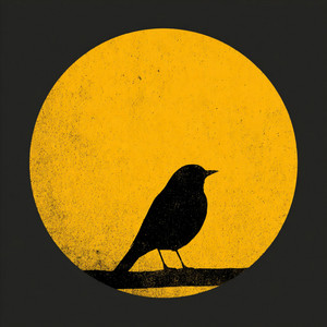Seek by marAna