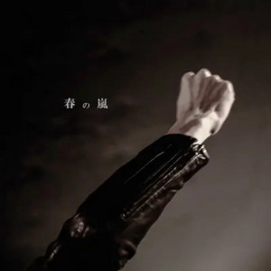 春の嵐 by the LOOKBACK's