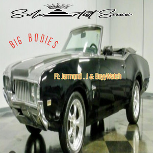 Big Bodies