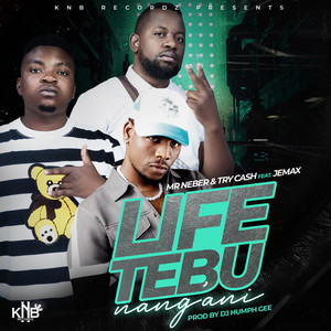 Kopala Ryder - Mr Neber Life Tebunangani (feat. Jemax & Try Cash)