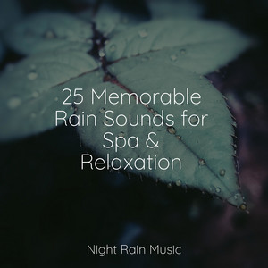25 Memorable Rain Sounds for Spa & Relaxation album
