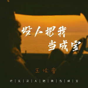 没人把我当成宝 by 王佳音