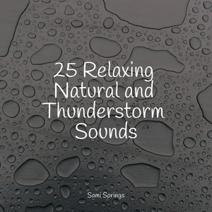 25 Relaxing Natural and Thunderstorm Sounds album