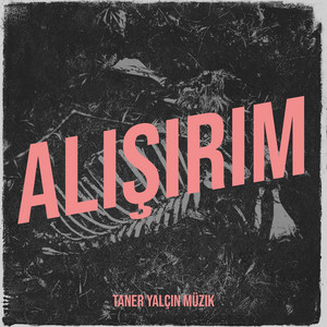 Alışırım by Taner Yalçın Müzik
