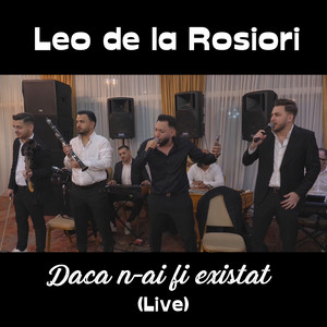 Leo de la Rosiori - Daca n-ai fi existat (Live)