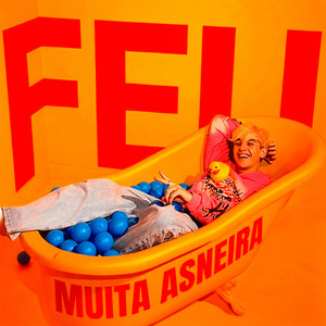 Muita Asneira by Feuripe, Fepy da Costa