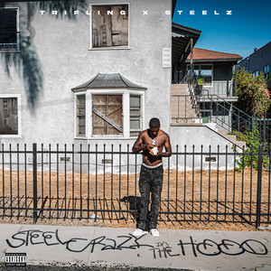 Somethin Wrong by Trifling, Steelz
