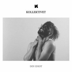Din Idiot
