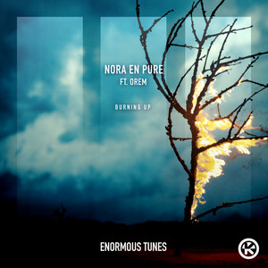 Burning Up — Nora En Pure, Orem