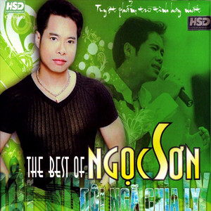 Đôi Ngả Chia Ly cover